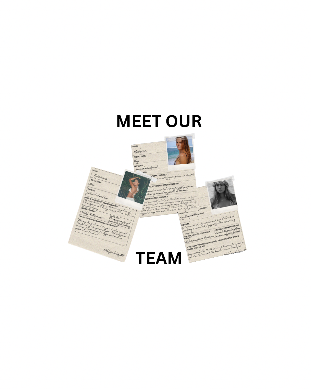 Meet our team!